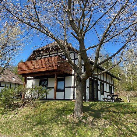 Ferienwohnung Lix Direkt Am Waldrand Frankenau ภายนอก รูปภาพ
