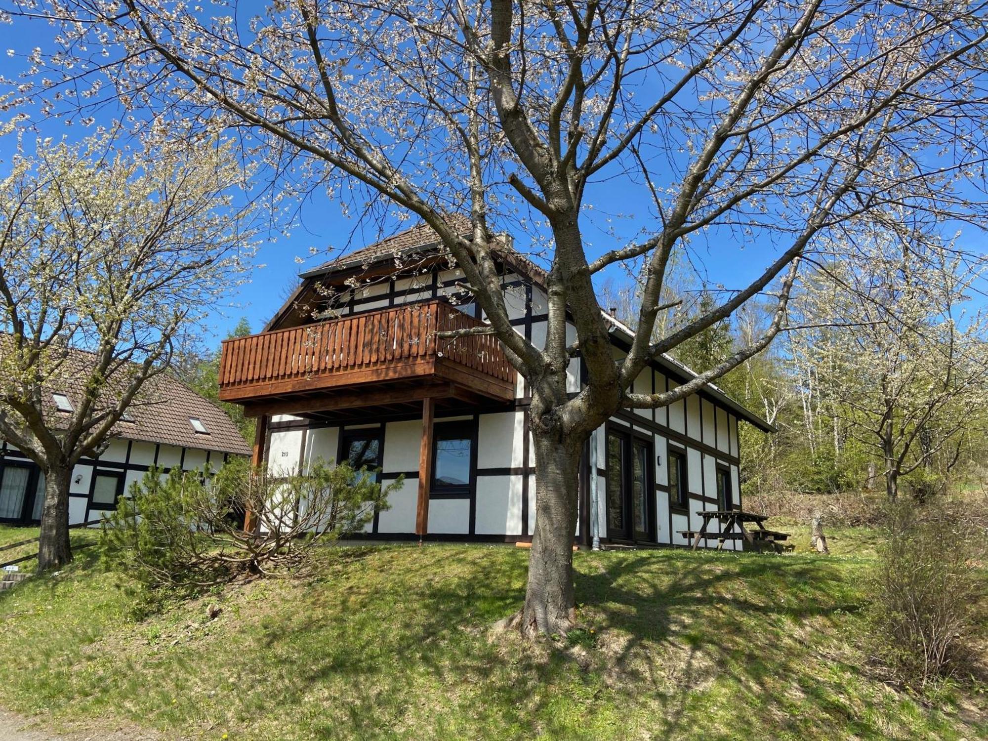 Ferienwohnung Lix Direkt Am Waldrand Frankenau ภายนอก รูปภาพ